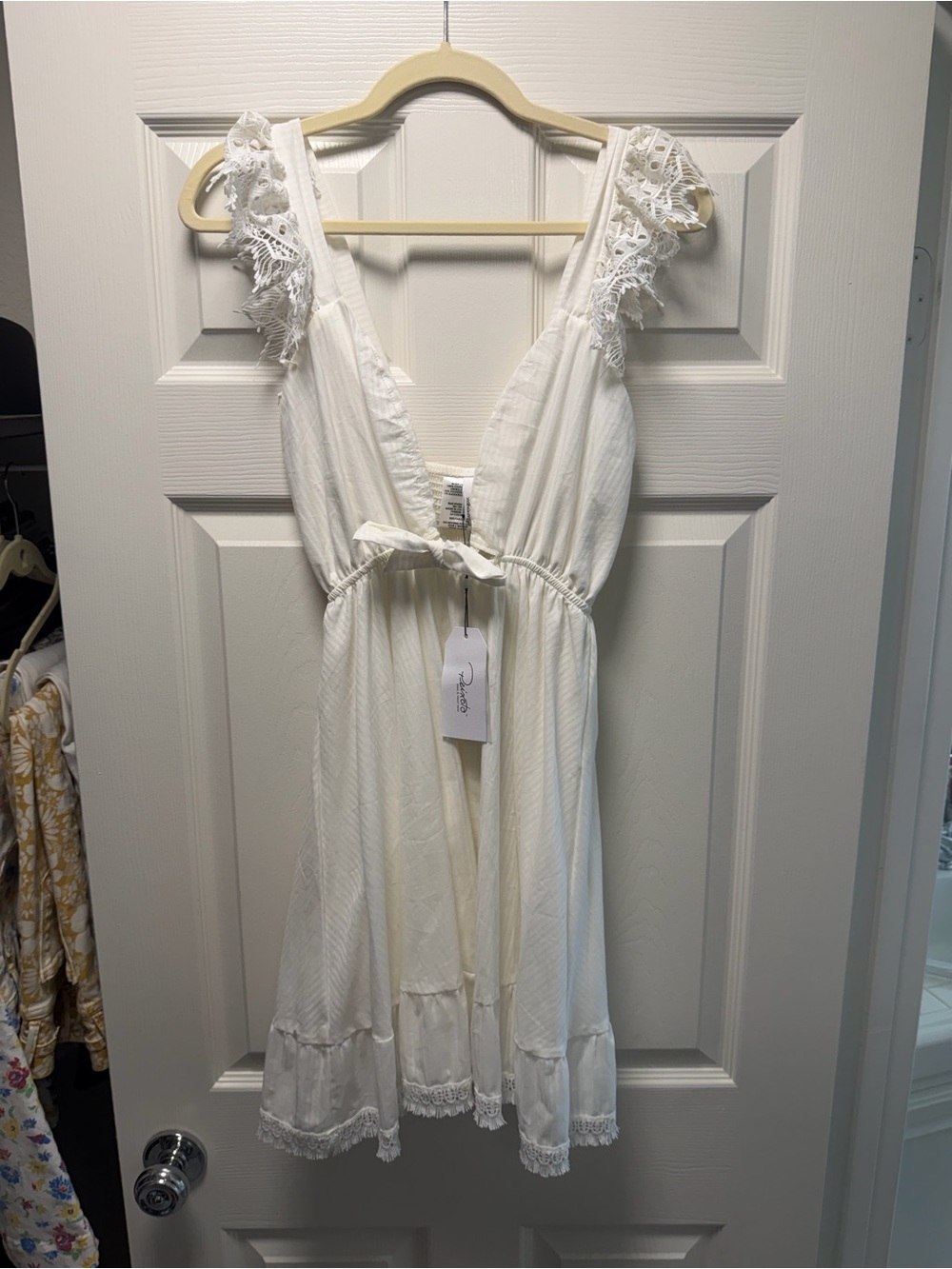Peixoto Ivory Lace-Trimmed V-Neck Chemise
